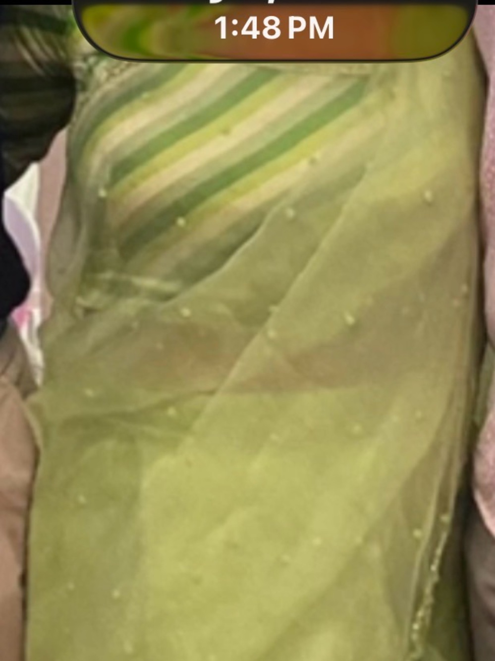 Light Green Sheer predrapped saree with silk blouse